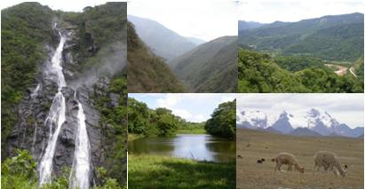 Bolivia un Pais megadiverso